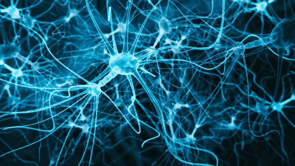 investigating the MND molecular crime scene