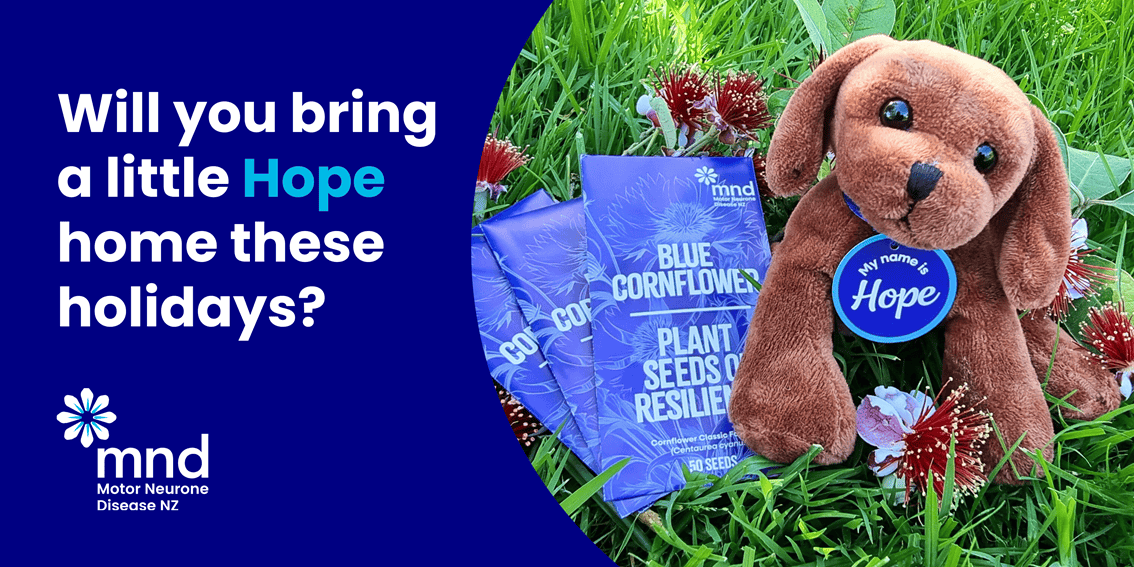 Edm Hope For Holidays Banner