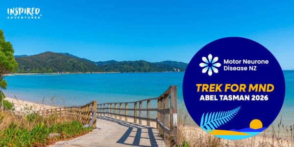 Large Banner 1440 X 720