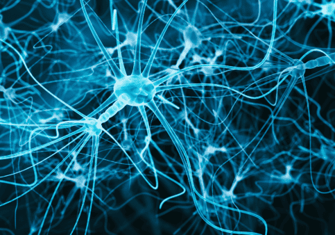 investigating the MND molecular crime scene