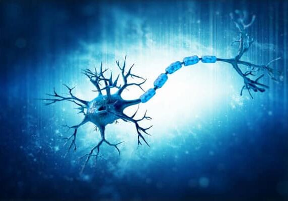 Motor Neurone