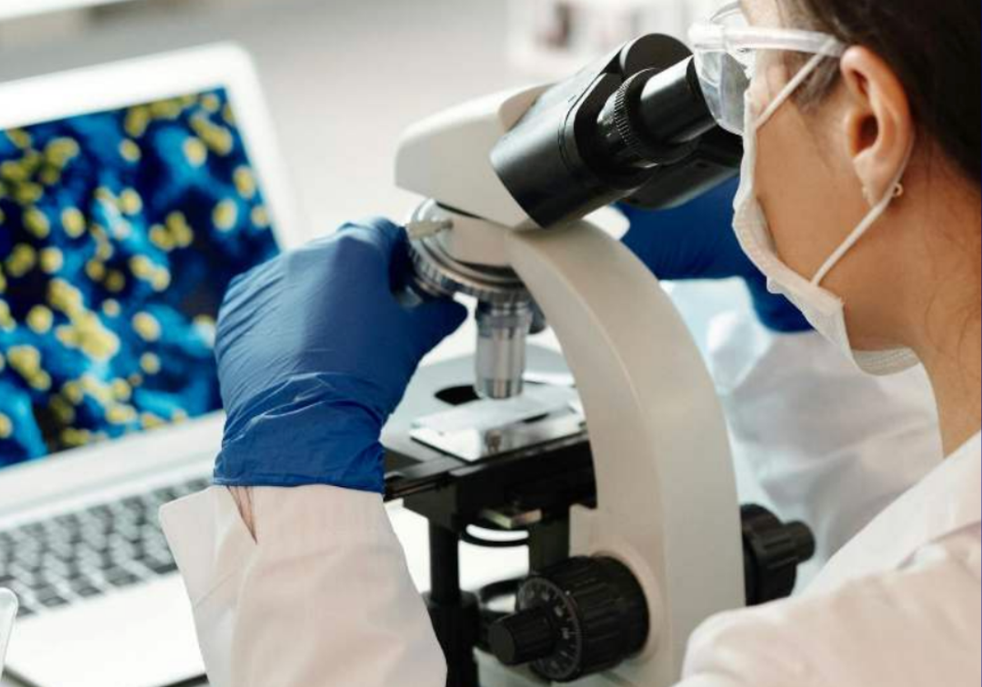 Research Image